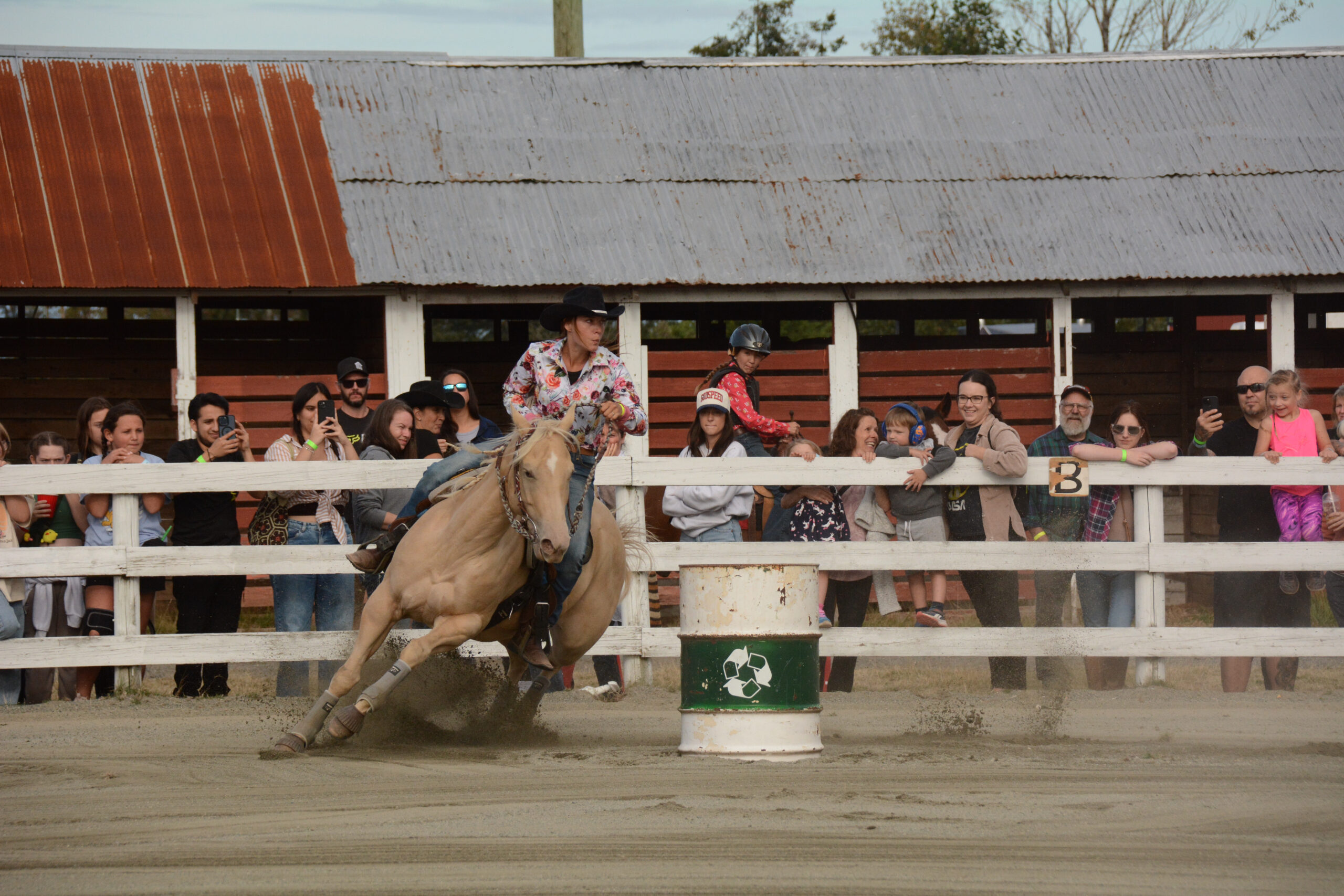 Paul Kovach photo-8518